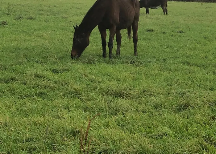 Bramble Cottage Casa de Férias