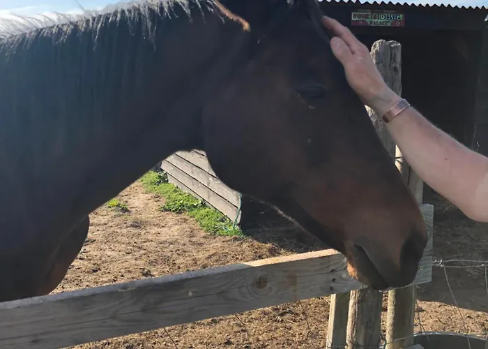 Casa de Férias Bramble Cottage